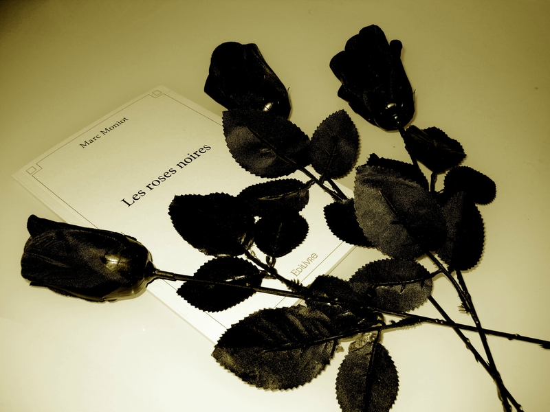 Les roses noires SEPIA