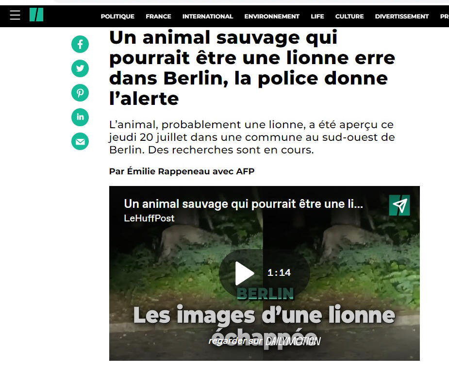 Cache cache