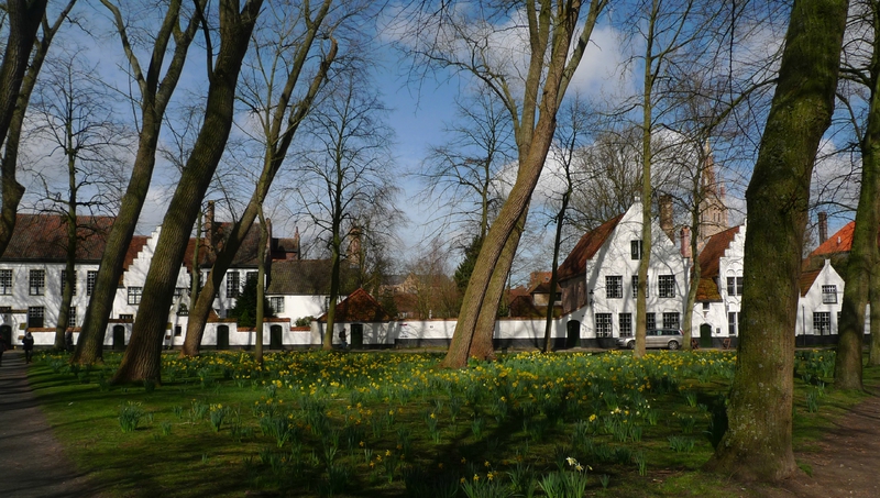 P1560484