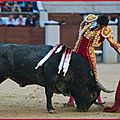 NÎMES : Castella, premier torero dans un ruedo avec six <b>Adolfo</b> <b>Martin</b>