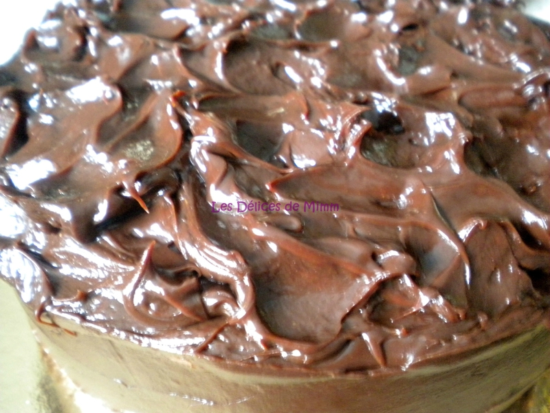 Mud cake et sa ganache aux 2 chocolats 5