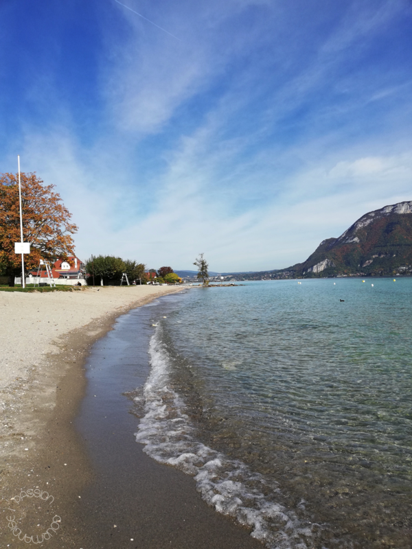 Annecy 2020_32
