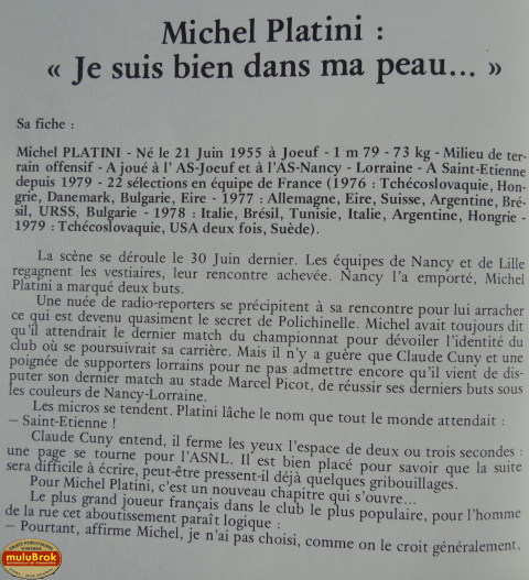LES VERTS 80 muluBrok (8)