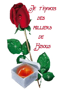 rose_et_mille_bisous