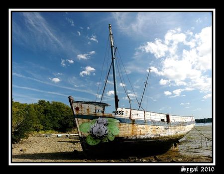 JOUR_2___CHANTIER_NAVAL_DE_LA_PASSAGERE_SUR_LA_RANCE_10_border_border