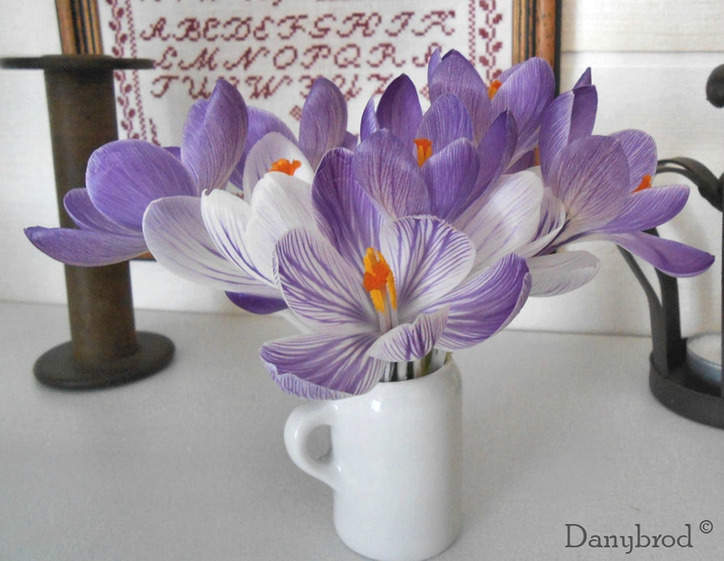 crocus3