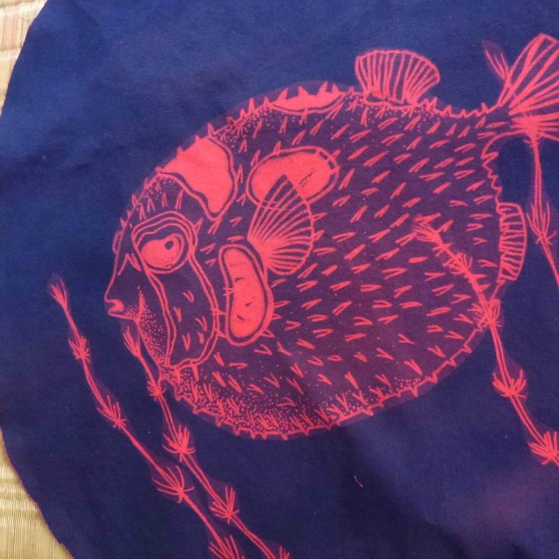 cyanotype poisson 4