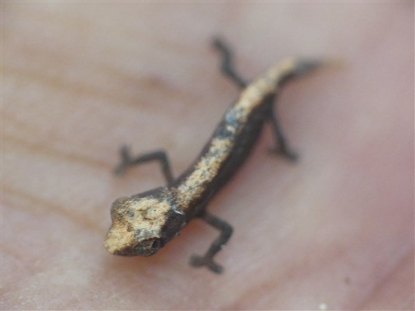 P1130096