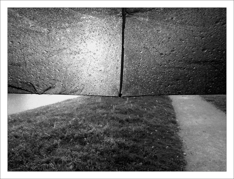 ville pluie parapluie 101114