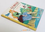 LA-BELLE-AU-BOIS-DORMANT-2-Albums-roses-muluBrok