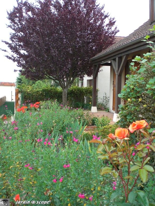 Le jardin sur la façade avant de la maison