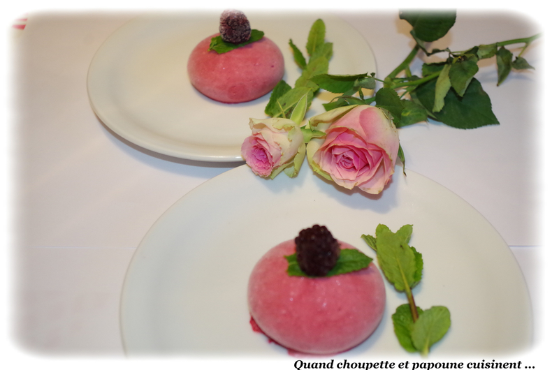 dessert glacé aux fruits rouges-9493