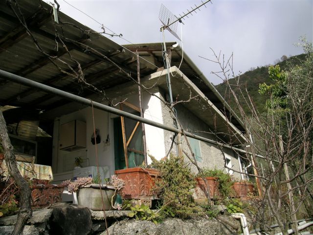 Dolceacqua Rosa 039