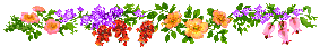 Gif barre fleurs colorées 320 pixels