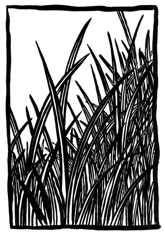 herbe folle