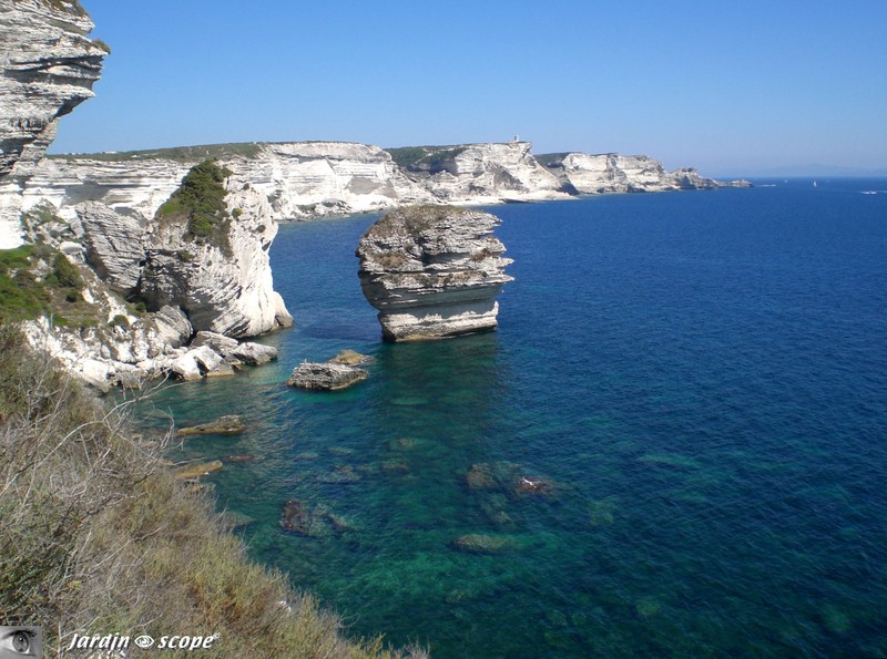 Bonifacio - Le 