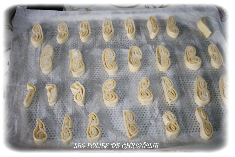 Palmiers 3
