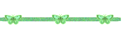 barre papillon vert