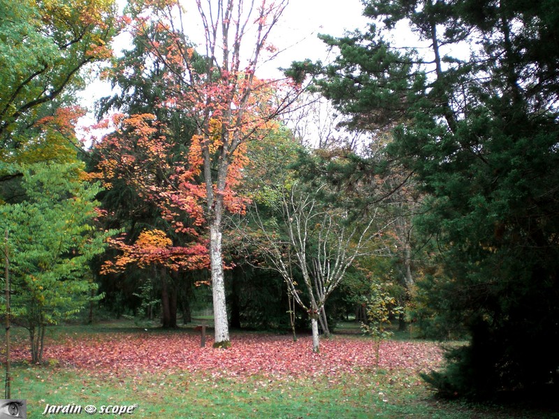 Couleurs d'automne