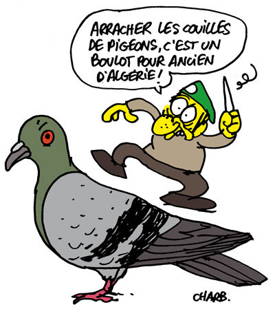 971_pigeons_charb