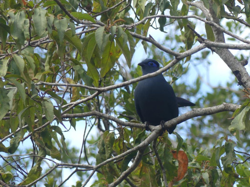 P1240065