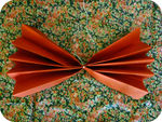 P1050087pn