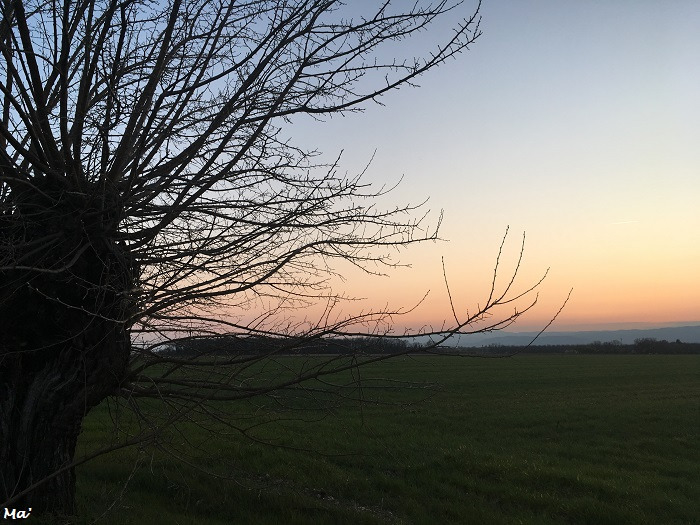 190328_fin_jour_montelier