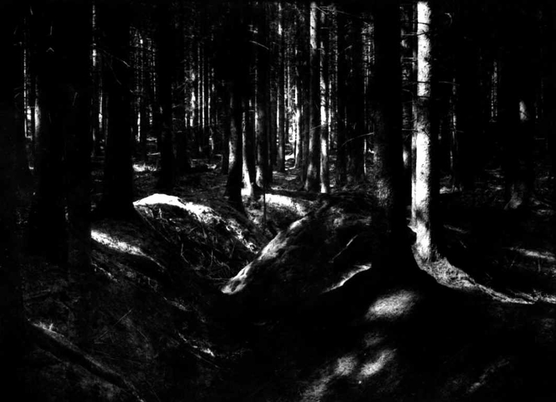 Forêt d Argonne