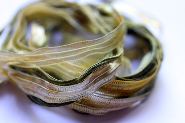 lacet feuille jaune