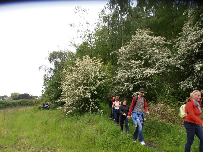 146 - Sentier de Saint-Ghislain - Terril de Marcasse