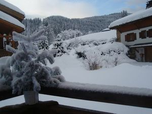 CHALET JANVIER 2012 010