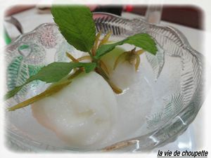 DSC07955