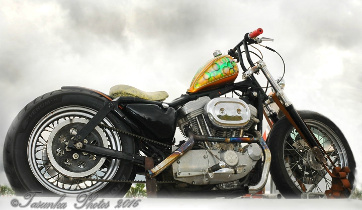 HDsportster883_tasunkaphotos2016_01