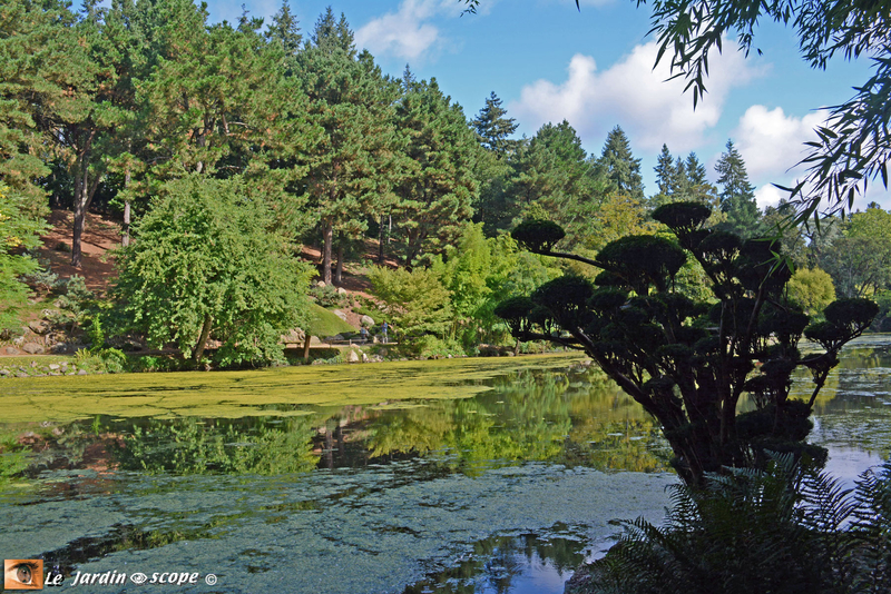 PAT_0961 Parc Oriental de Maulévrier