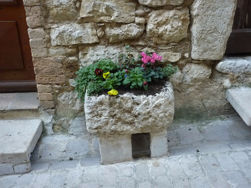 P1110517 (2)