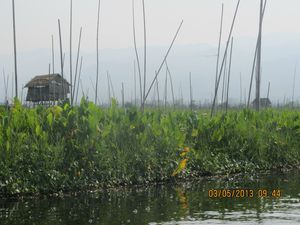 2013-05-03 Lac Inle (15)