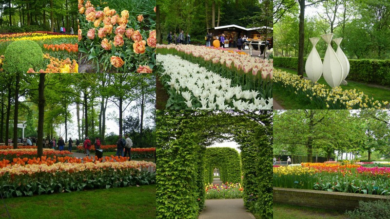 Parc floral de Keukenhof-montage 1-