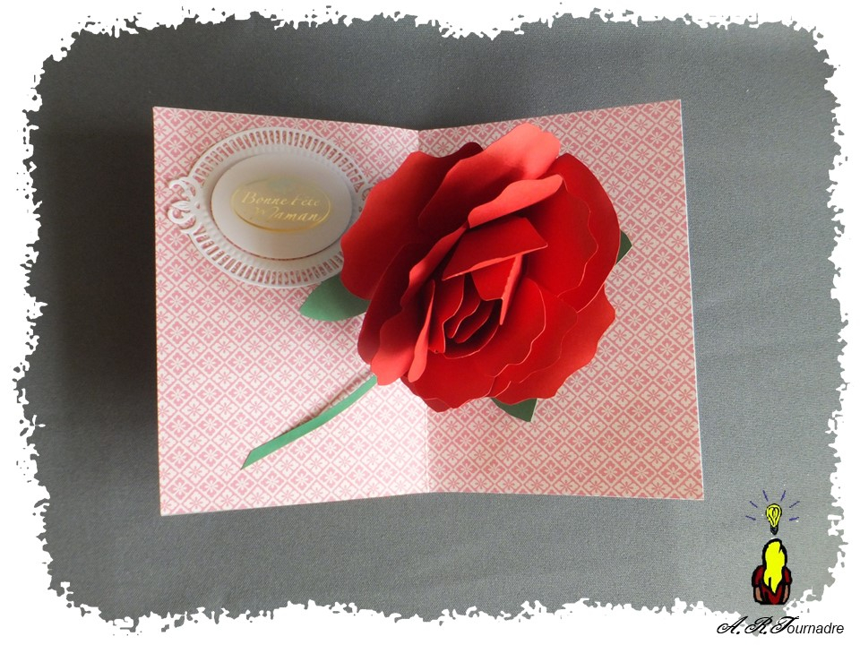 ART 2020 05 rose excentree 6