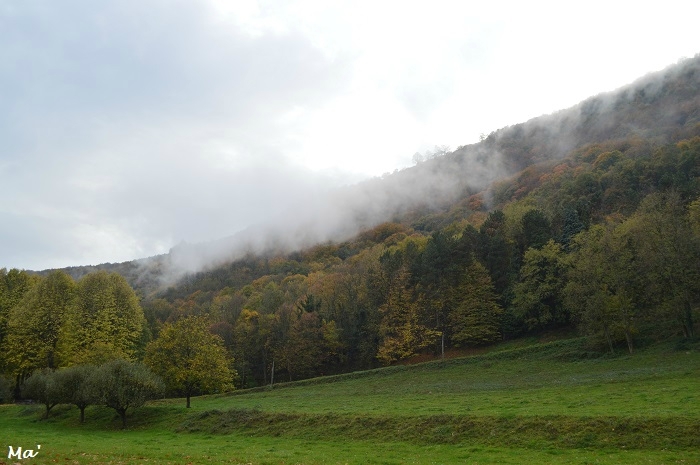 171104_Hautecombe_12