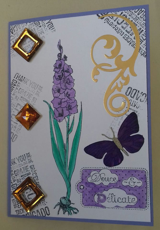 16 - Christelle Coval ( violet)
