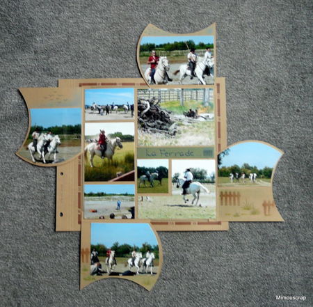 cam_200942b1