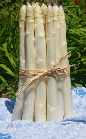 asperge