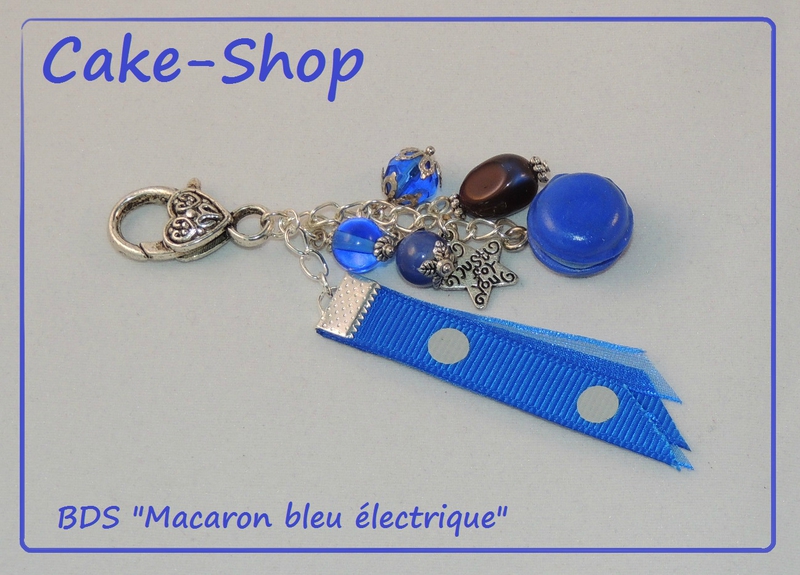 BDS macaron bleu electrique1