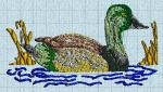 canard01 machine