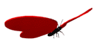 gif_papillons_10