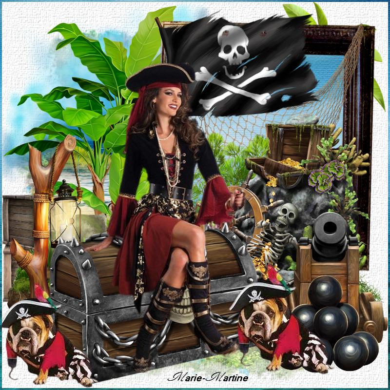 Jolie pirate tuto