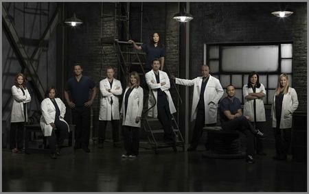 grey's anatomy saison 9 cast