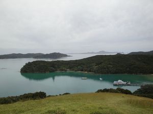 Urupukapuka - Bay of Islands