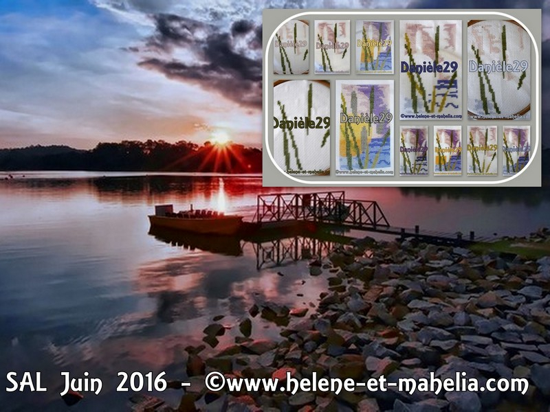 danièle29_saljun16_col3