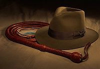 200px-Bullwhip_and_IJ_hat